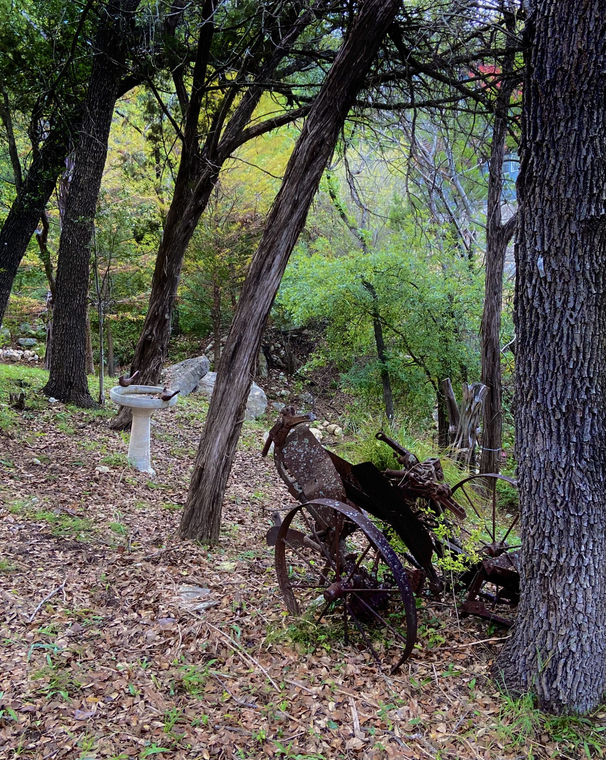 Grounds at wet weather creek to explore with picnic area for guests