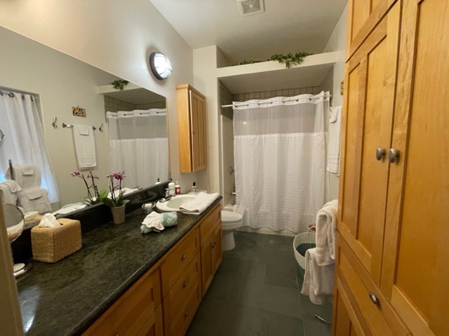 Guesthouse Master Bathroom
