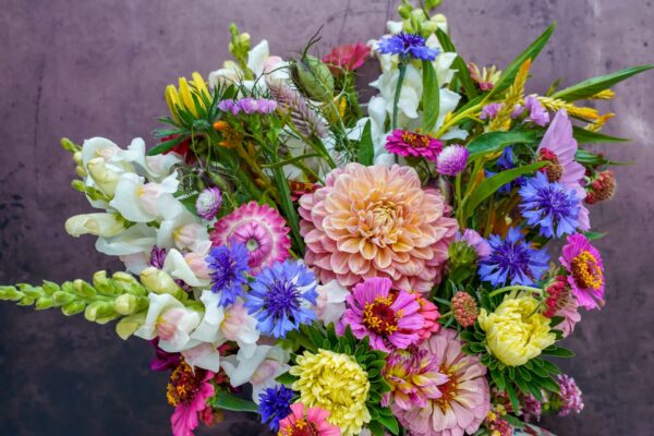 Assorted Flowers