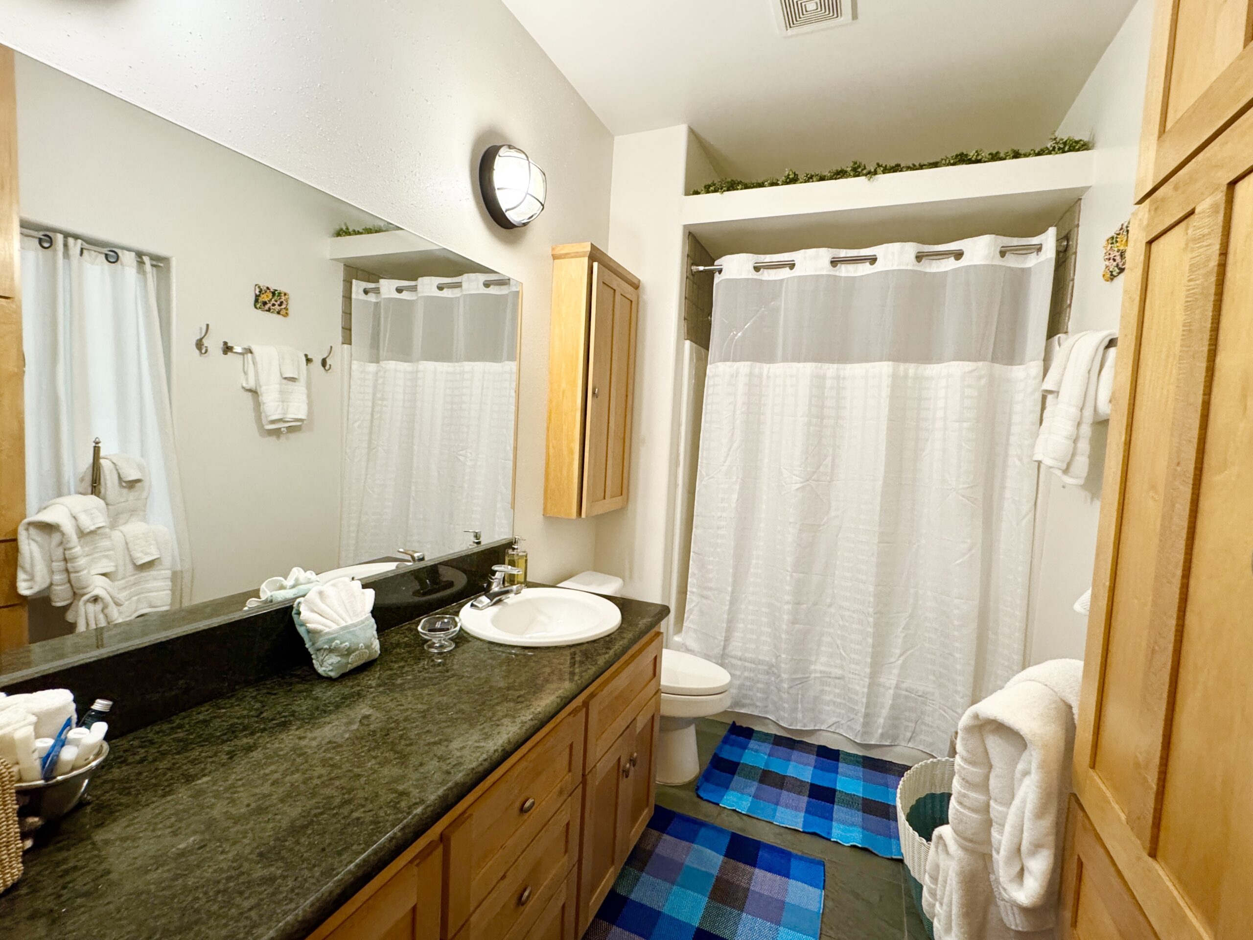 Guesthouse Bath w blue checked rugs-2025 copy